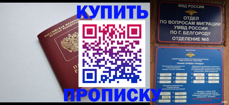 прописка регистрация в Александрове